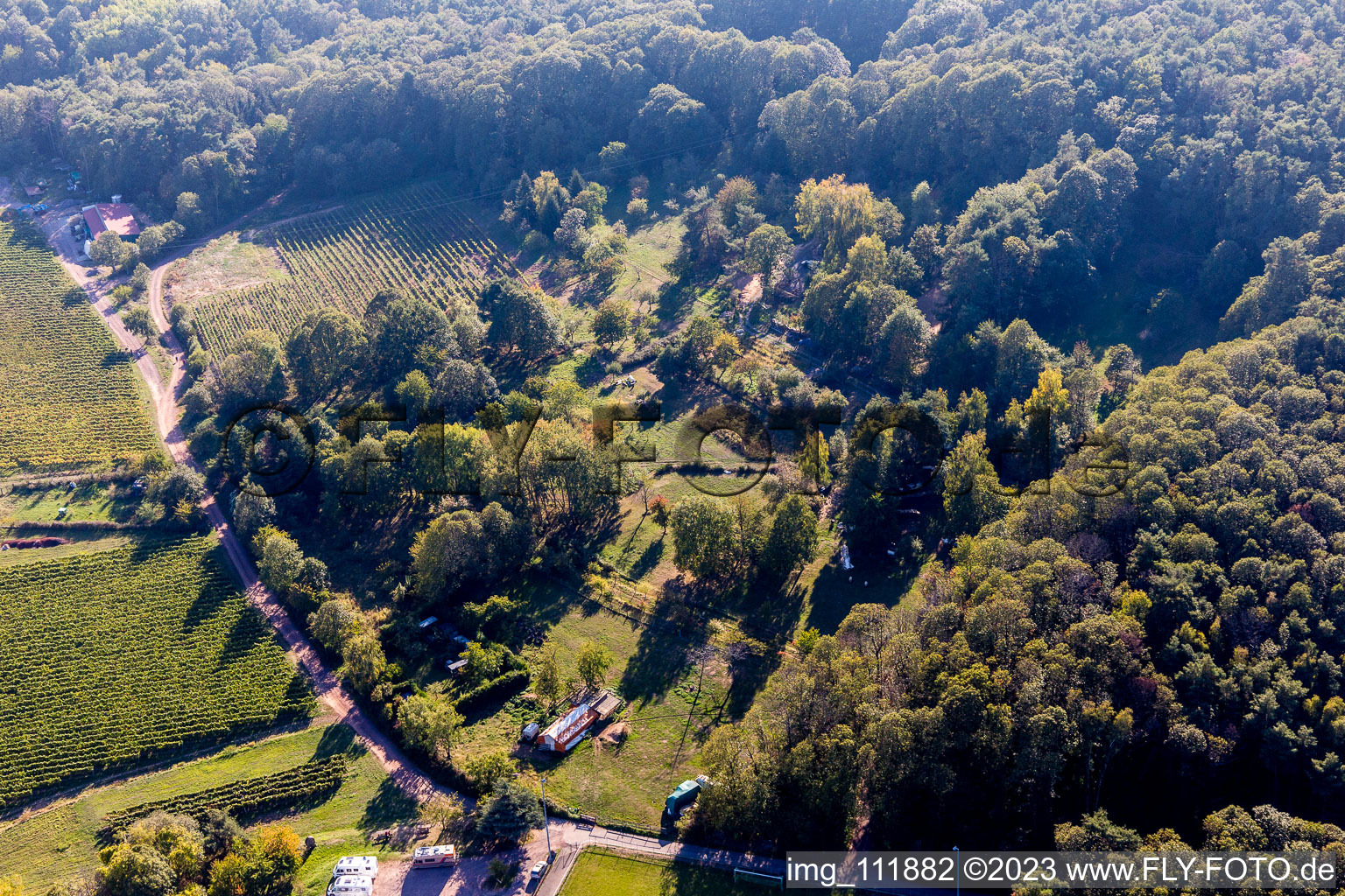 Vue aérienne de Dörrenbach dans le département Rhénanie-Palatinat, Allemagne