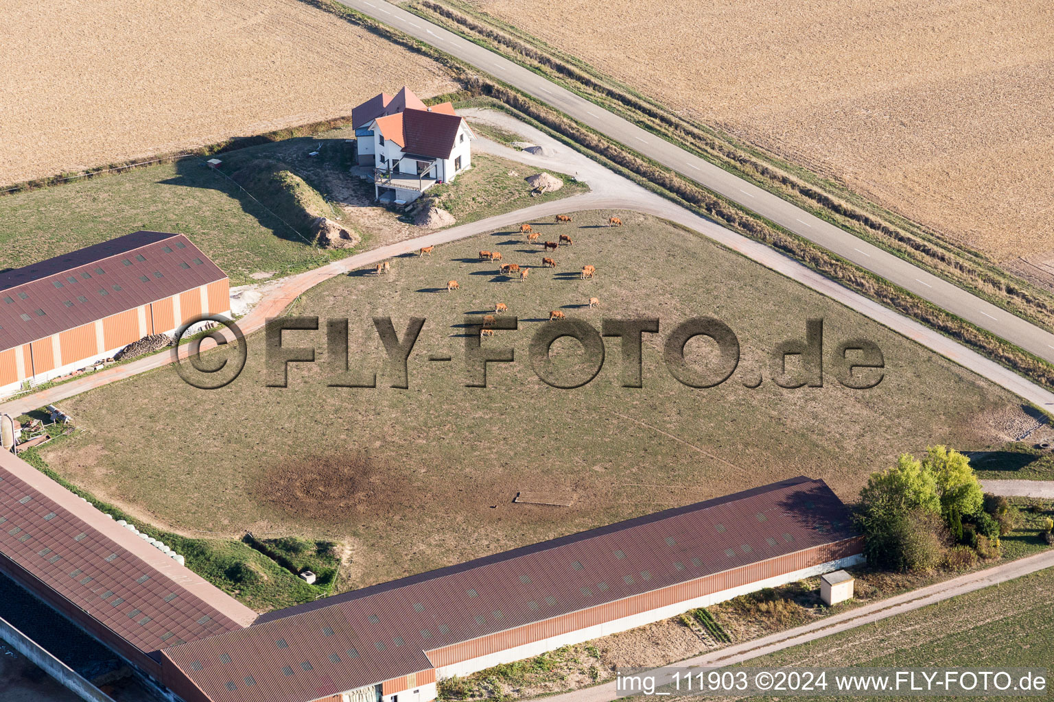 Image drone de Schleithal dans le département Bas Rhin, France