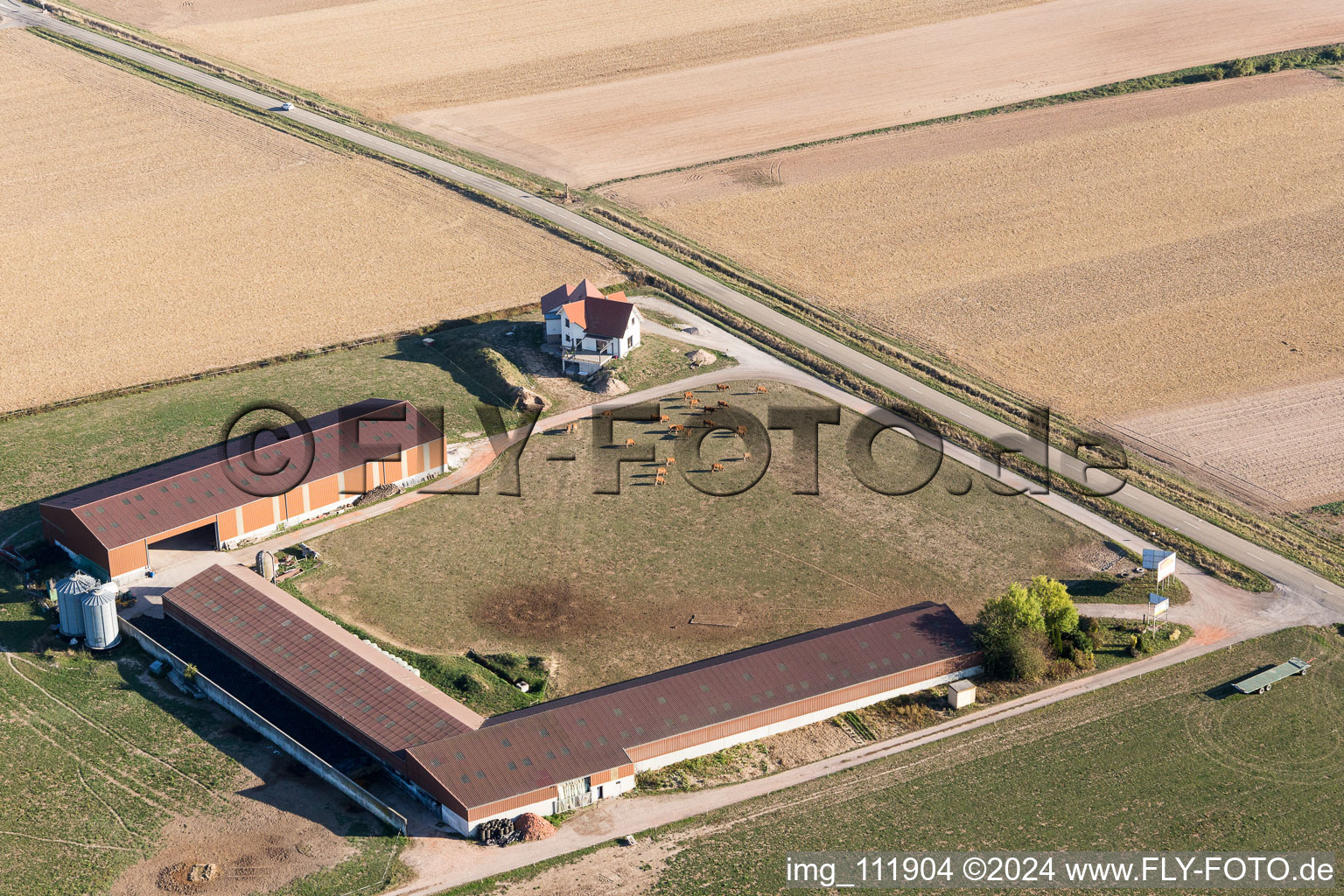 Schleithal dans le département Bas Rhin, France du point de vue du drone