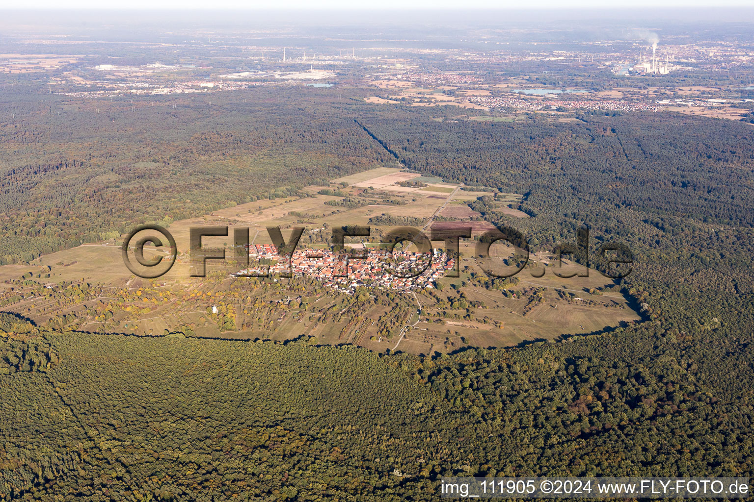 Vue aérienne de Quartier Büchelberg in Wörth am Rhein dans le département Rhénanie-Palatinat, Allemagne