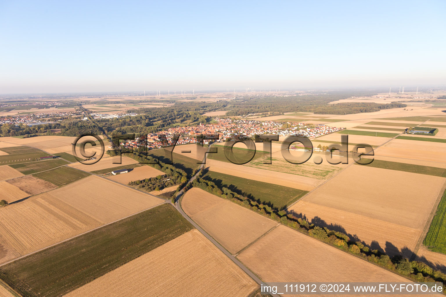 Vue aérienne de Steinweiler dans le département Rhénanie-Palatinat, Allemagne