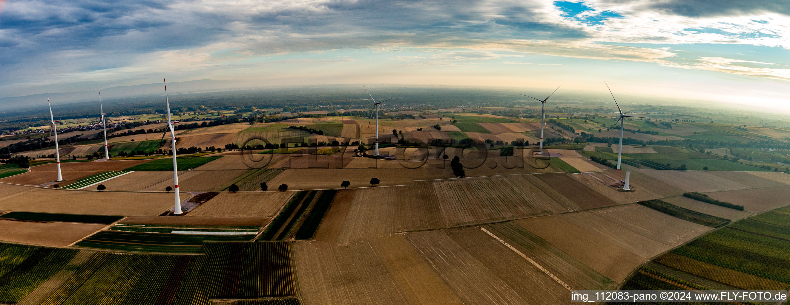 Vue aérienne de Parc éolien EnBW - éolienne avec 6 éoliennes dans un champ à Freckenfeld dans le département Rhénanie-Palatinat, Allemagne