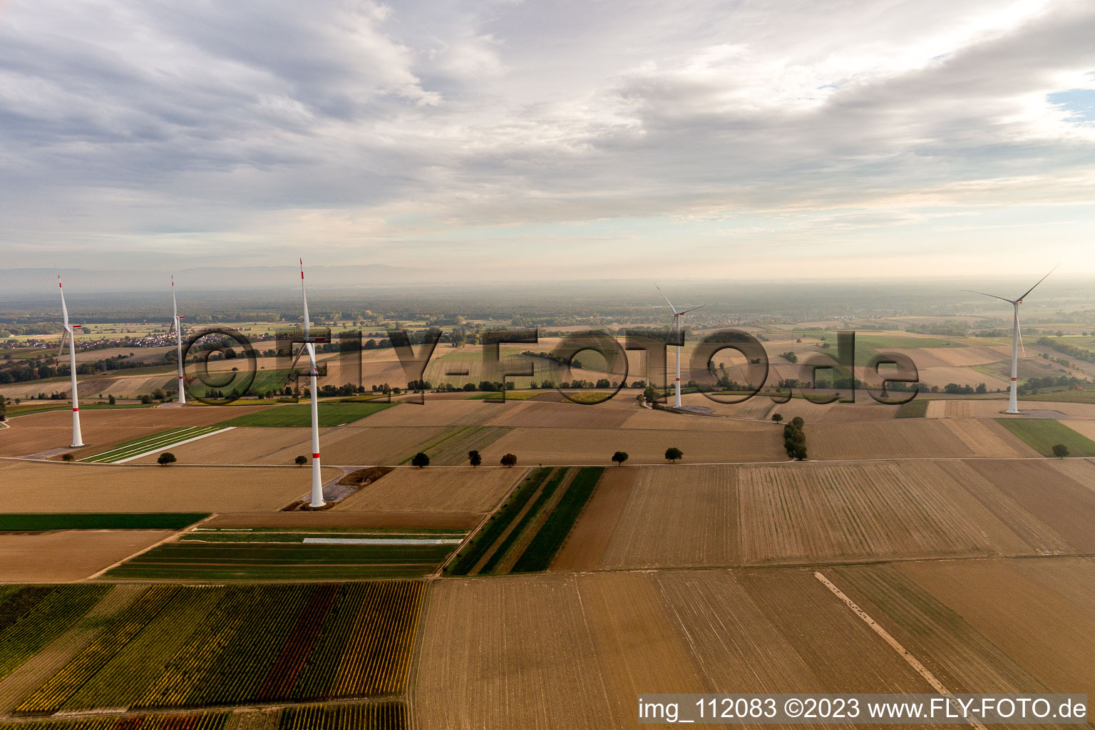 Parc éolien EnBW - éolienne avec 6 éoliennes à Freckenfeld dans le département Rhénanie-Palatinat, Allemagne vu d'un drone