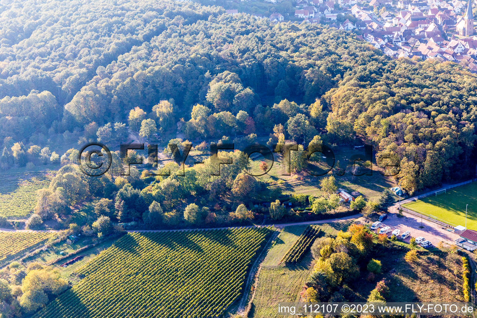 Vue oblique de Dörrenbach dans le département Rhénanie-Palatinat, Allemagne