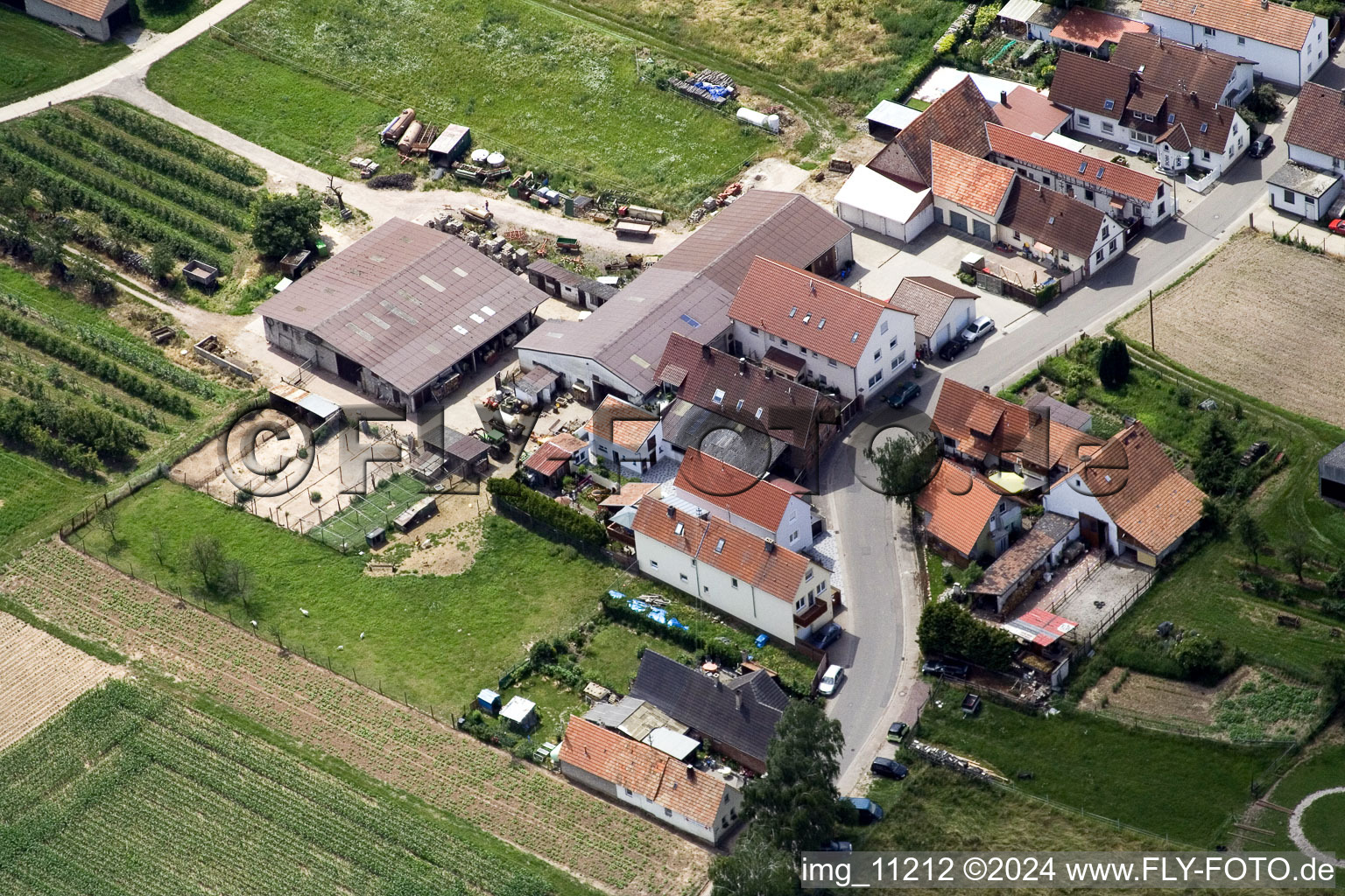 Vue oblique de Quartier Mühlhofen in Billigheim-Ingenheim dans le département Rhénanie-Palatinat, Allemagne