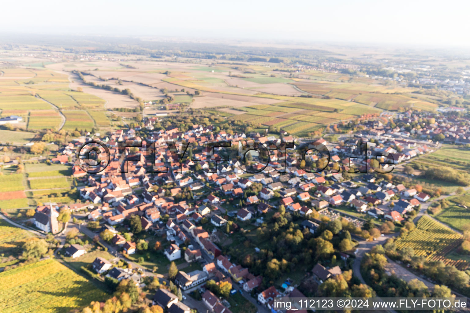 Vue oblique de Quartier Rechtenbach in Schweigen-Rechtenbach dans le département Rhénanie-Palatinat, Allemagne