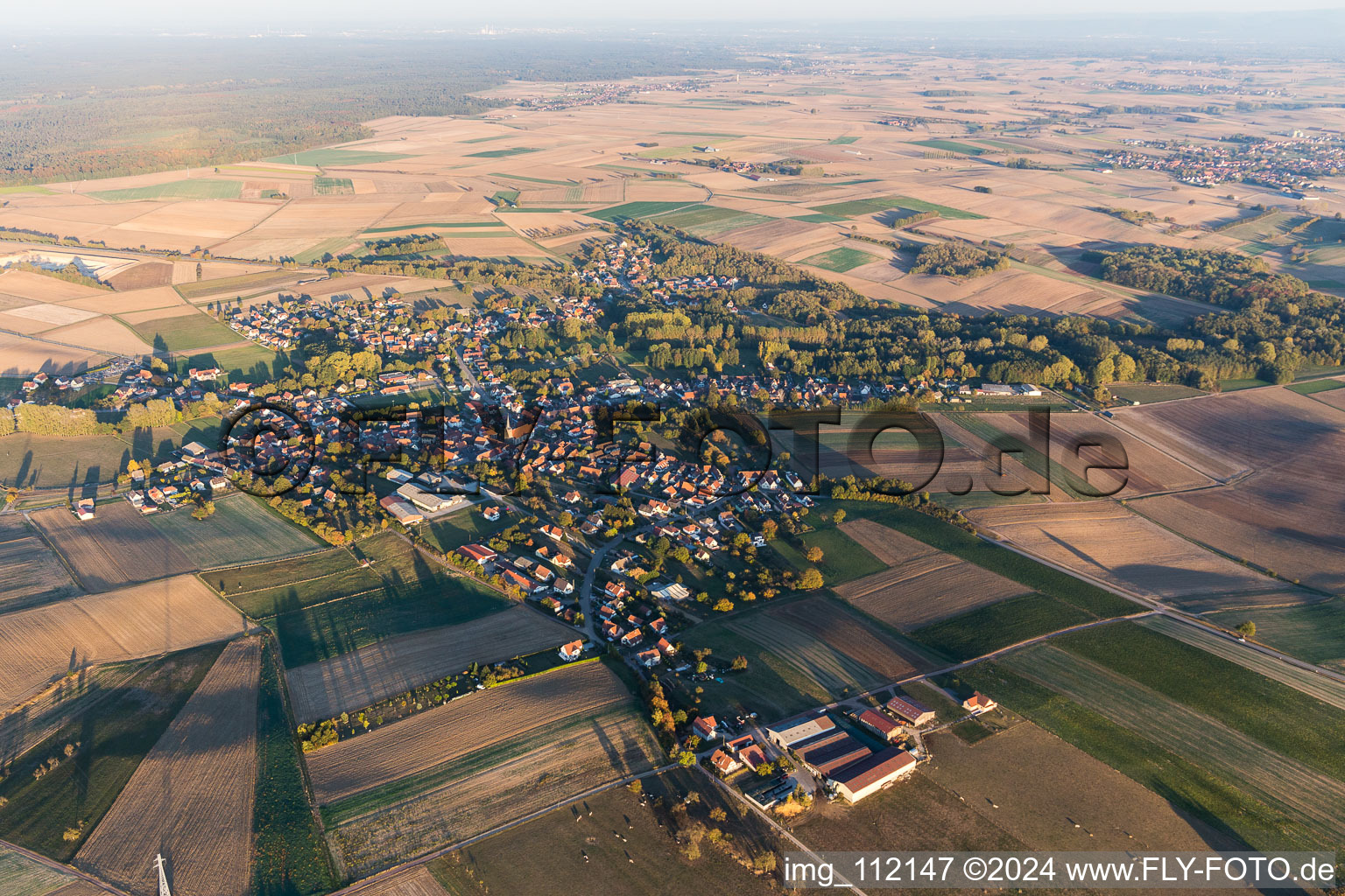 Vue aérienne de Riedseltz dans le département Bas Rhin, France