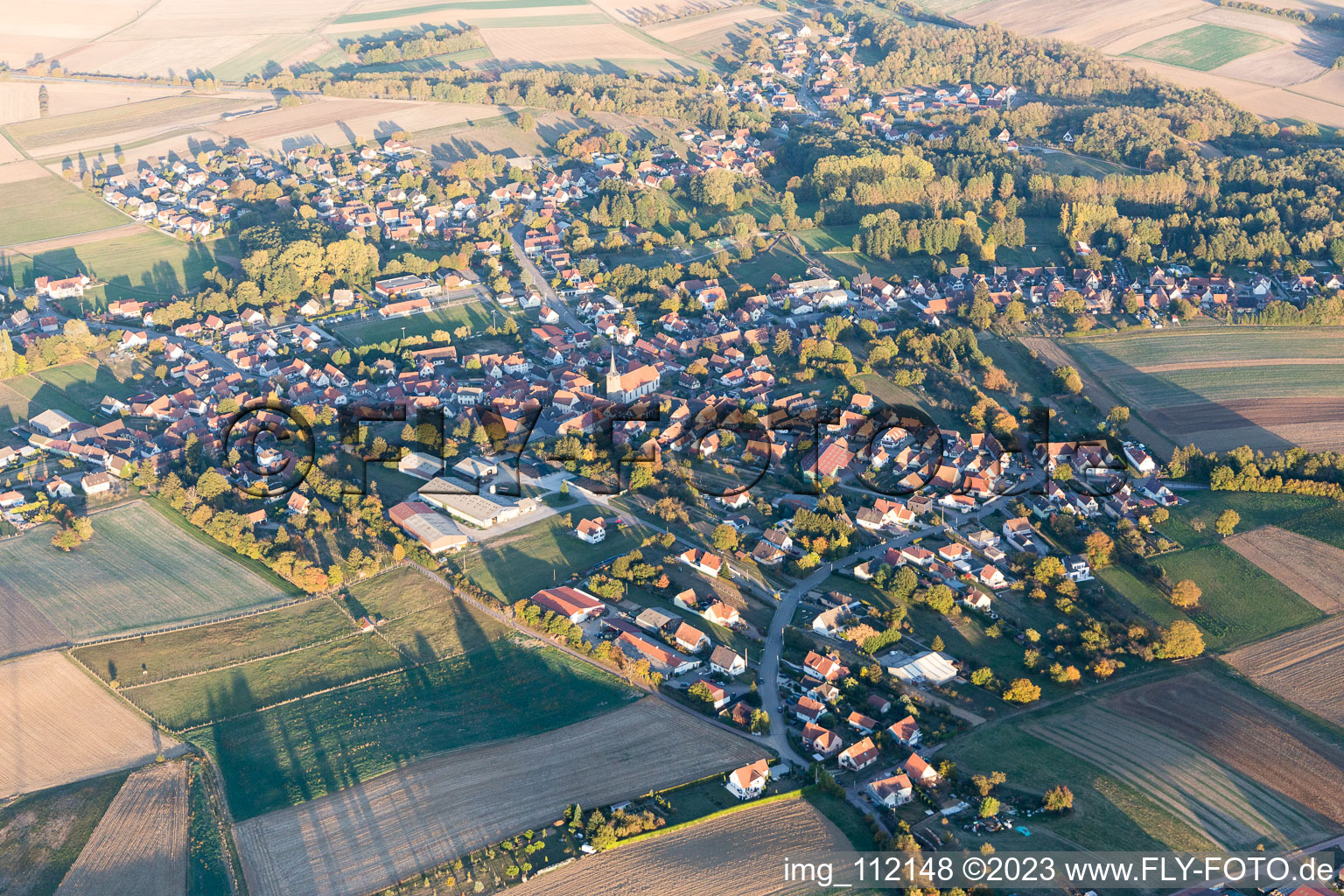 Photographie aérienne de Riedseltz dans le département Bas Rhin, France