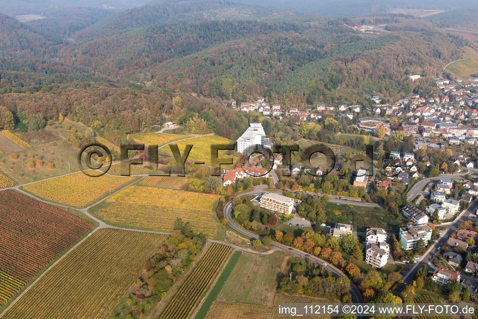 Bad Bergzabern dans le département Rhénanie-Palatinat, Allemagne depuis l'avion