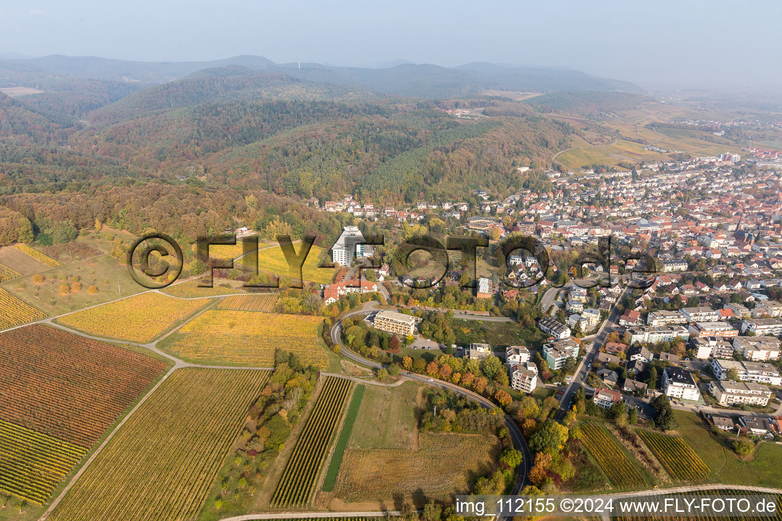 Vue d'oiseau de Bad Bergzabern dans le département Rhénanie-Palatinat, Allemagne