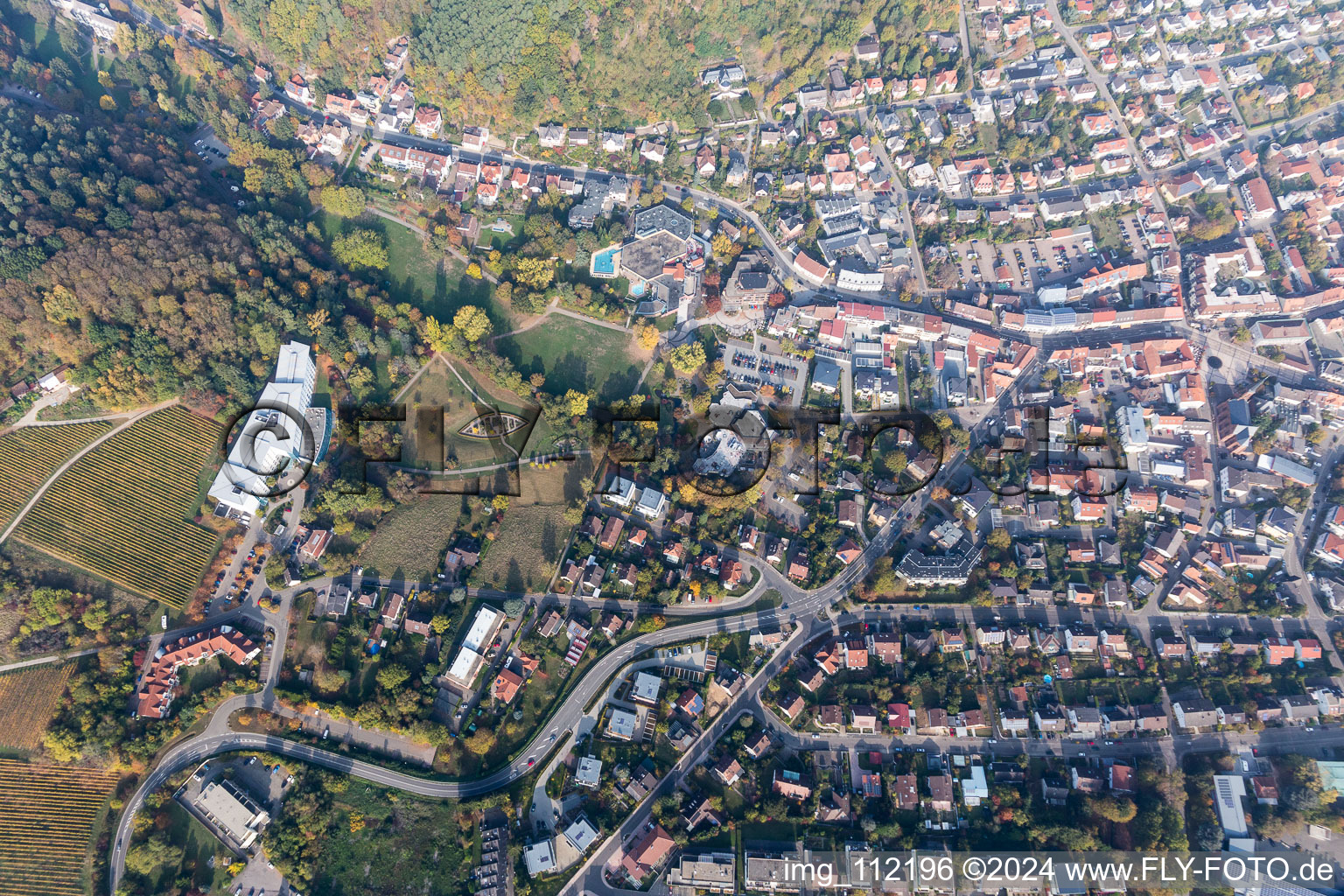 Bad Bergzabern dans le département Rhénanie-Palatinat, Allemagne vue du ciel