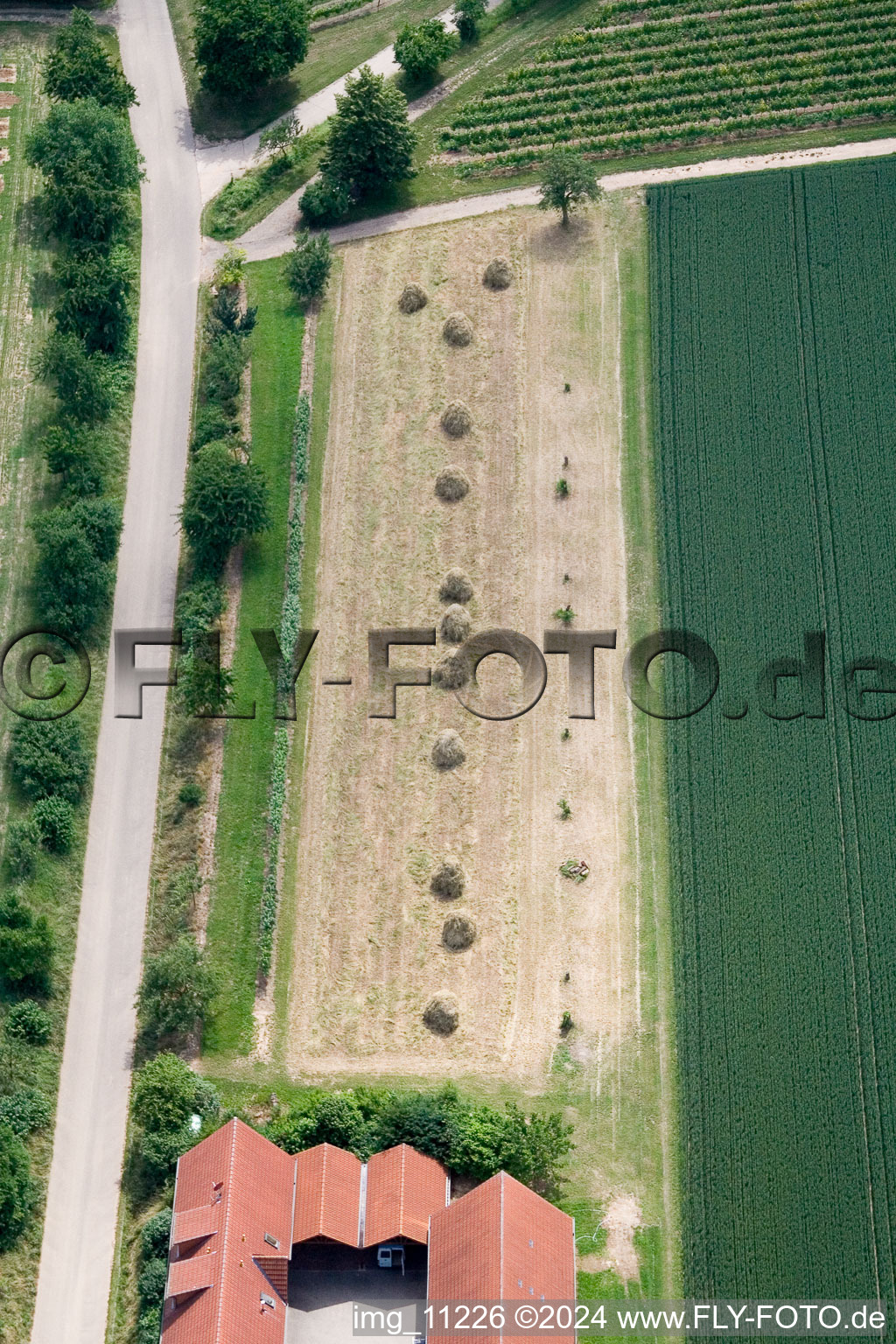 Quartier Mühlhofen in Billigheim-Ingenheim dans le département Rhénanie-Palatinat, Allemagne d'un drone