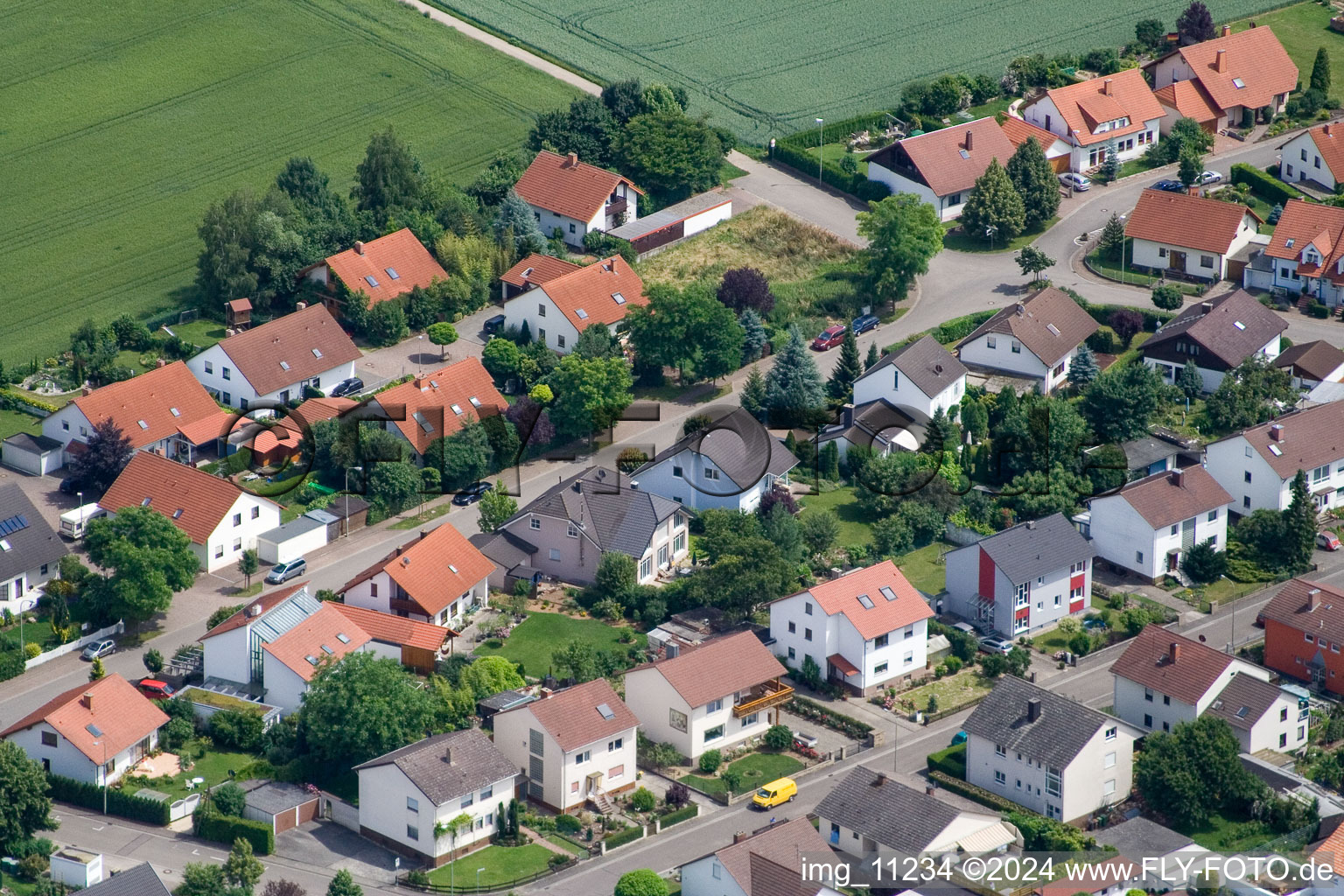 Photographie aérienne de Steinweiler dans le département Rhénanie-Palatinat, Allemagne