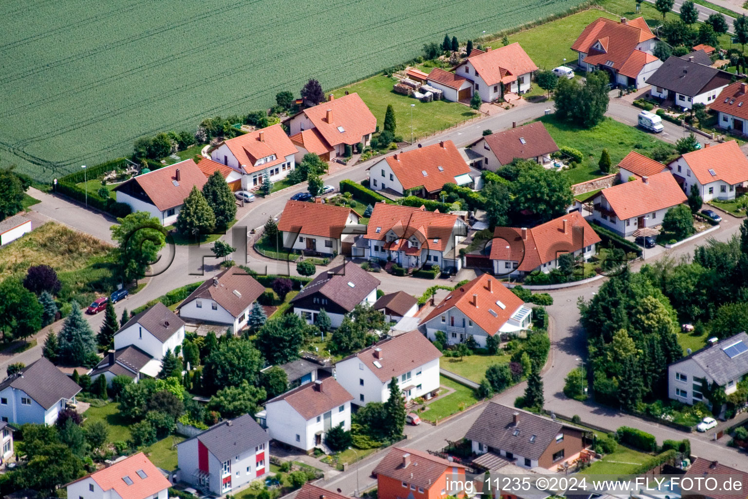 Vue oblique de Steinweiler dans le département Rhénanie-Palatinat, Allemagne