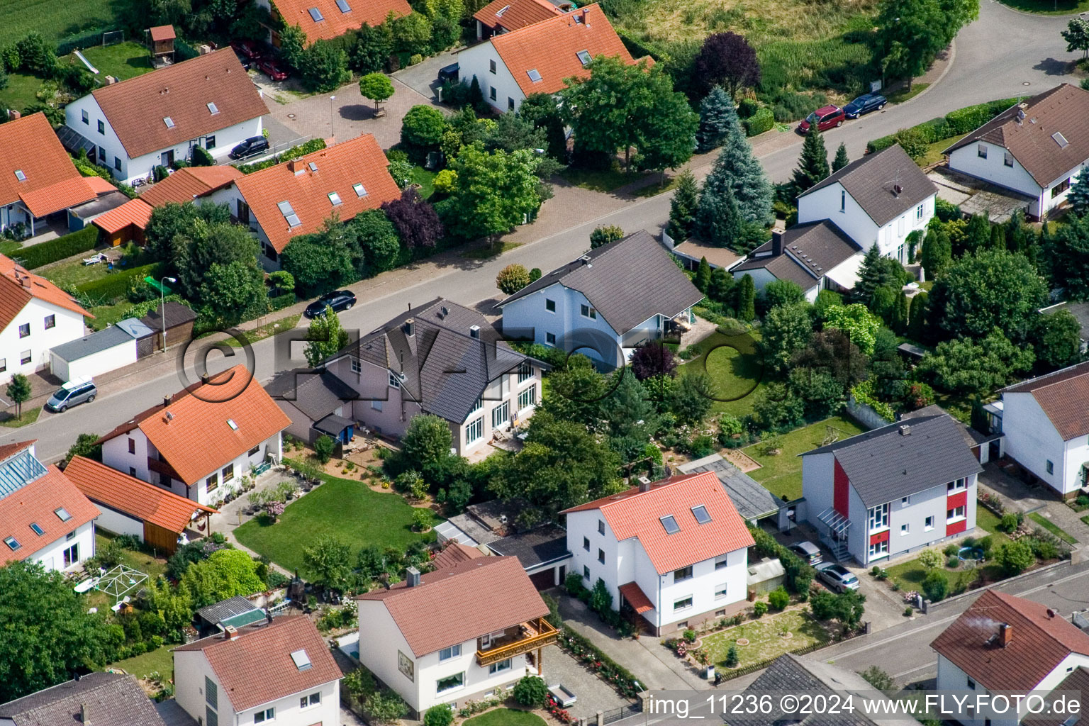 Steinweiler dans le département Rhénanie-Palatinat, Allemagne d'en haut