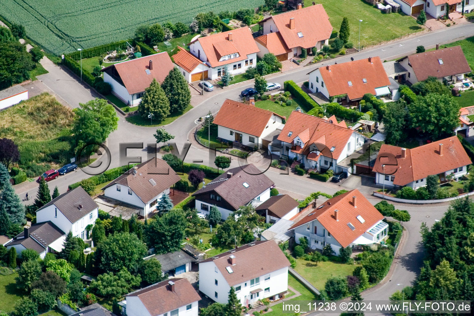 Steinweiler dans le département Rhénanie-Palatinat, Allemagne vue d'en haut