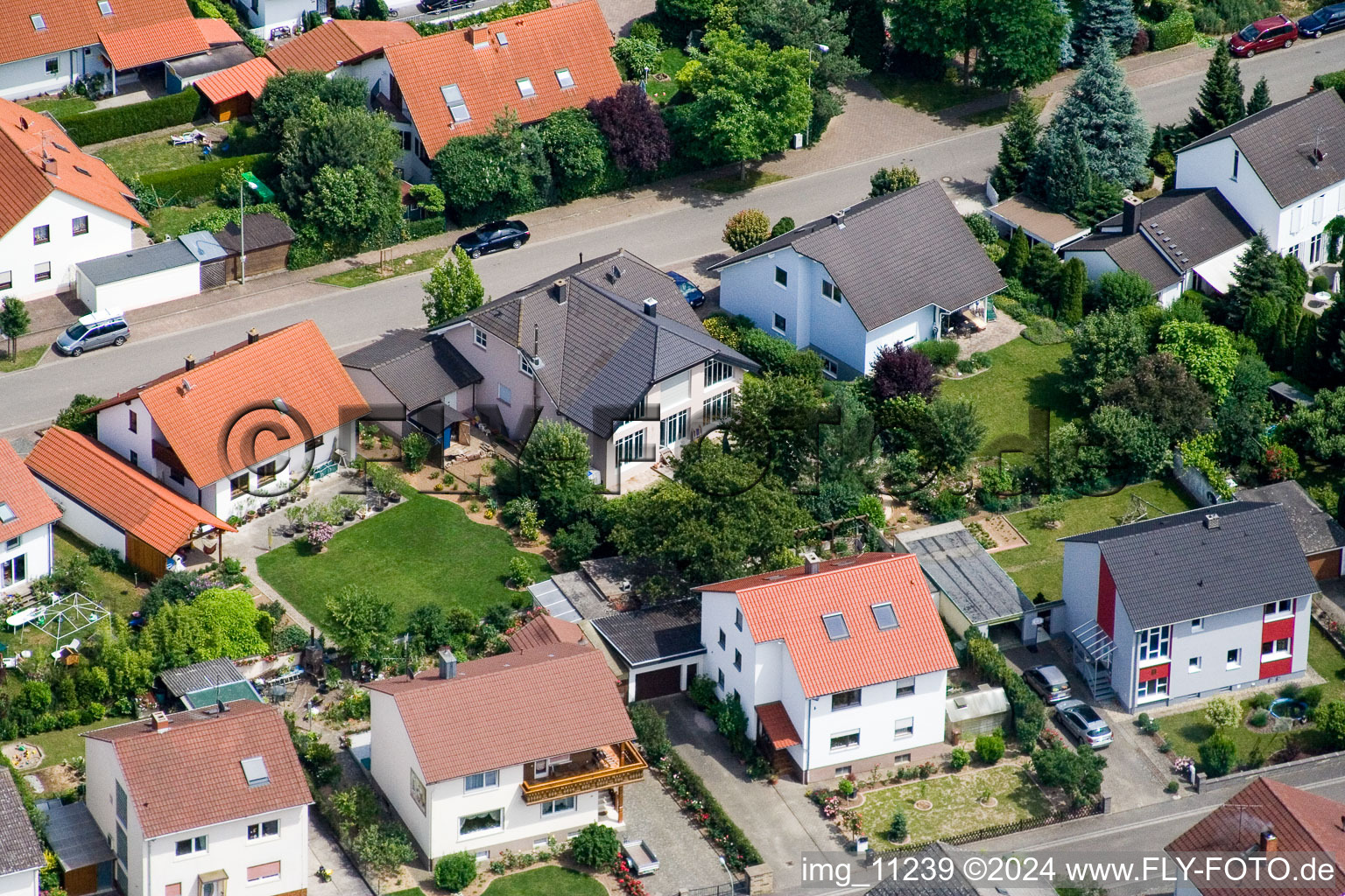 Steinweiler dans le département Rhénanie-Palatinat, Allemagne depuis l'avion