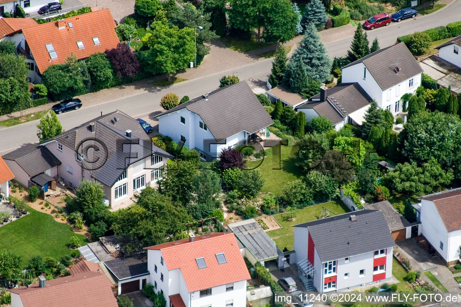 Vue d'oiseau de Steinweiler dans le département Rhénanie-Palatinat, Allemagne