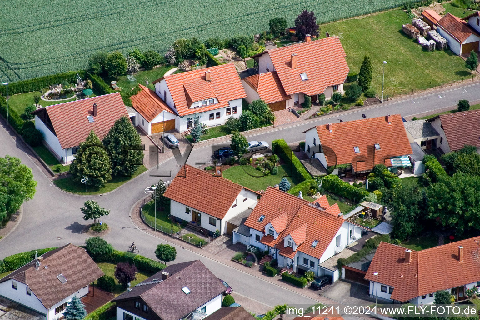 Steinweiler dans le département Rhénanie-Palatinat, Allemagne vue du ciel