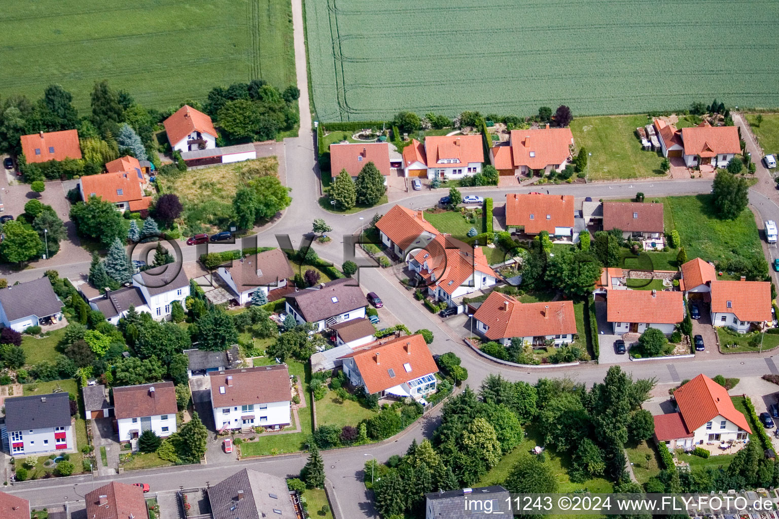 Image drone de Steinweiler dans le département Rhénanie-Palatinat, Allemagne