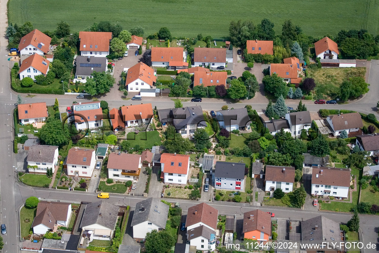 Steinweiler dans le département Rhénanie-Palatinat, Allemagne du point de vue du drone