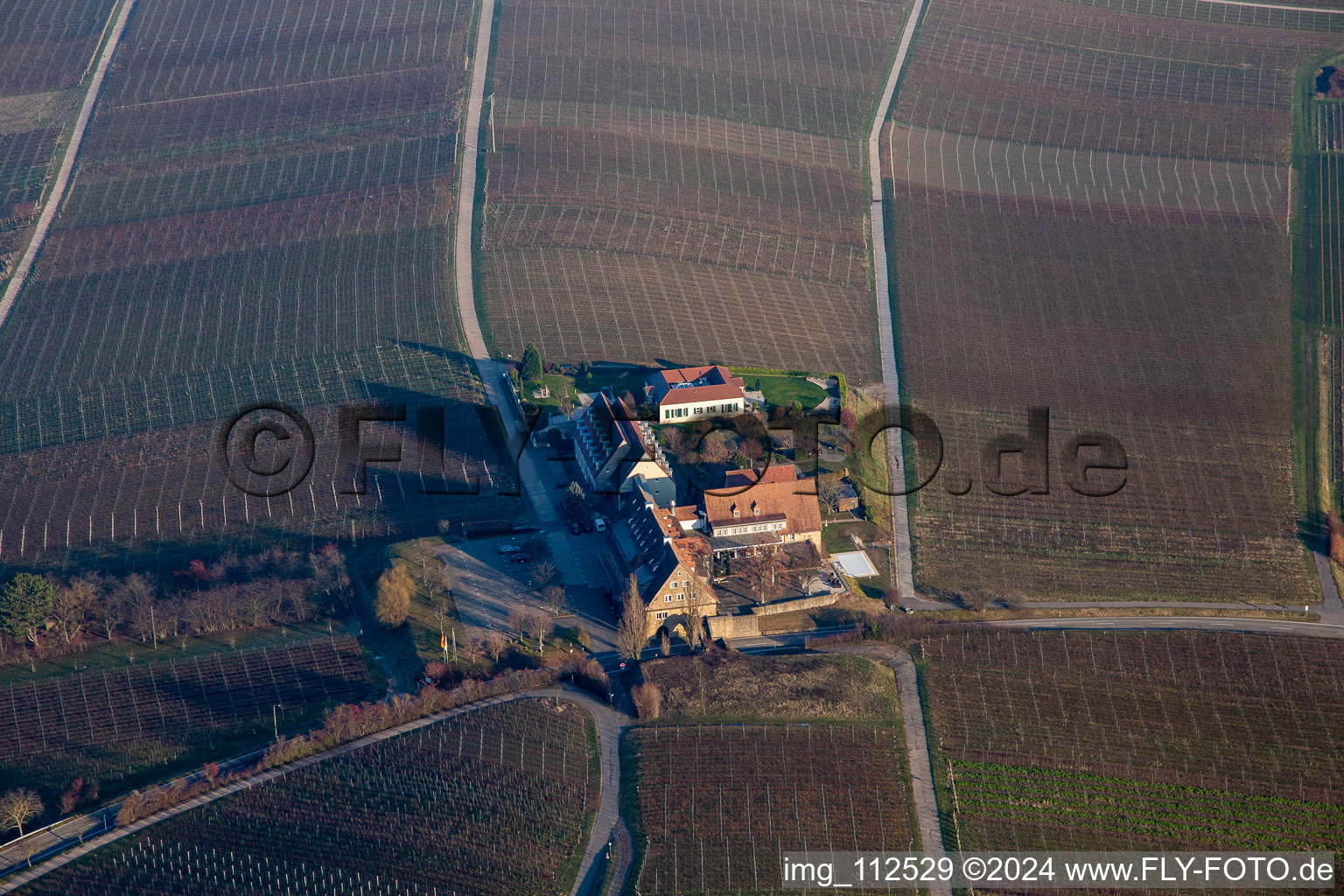 Leinsweiler dans le département Rhénanie-Palatinat, Allemagne vue du ciel