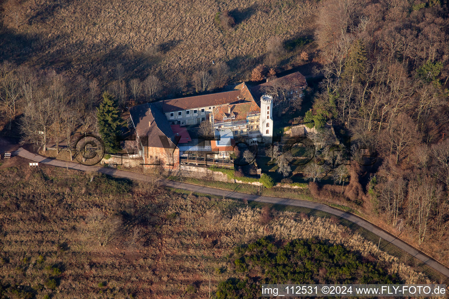 Enregistrement par drone de Leinsweiler dans le département Rhénanie-Palatinat, Allemagne