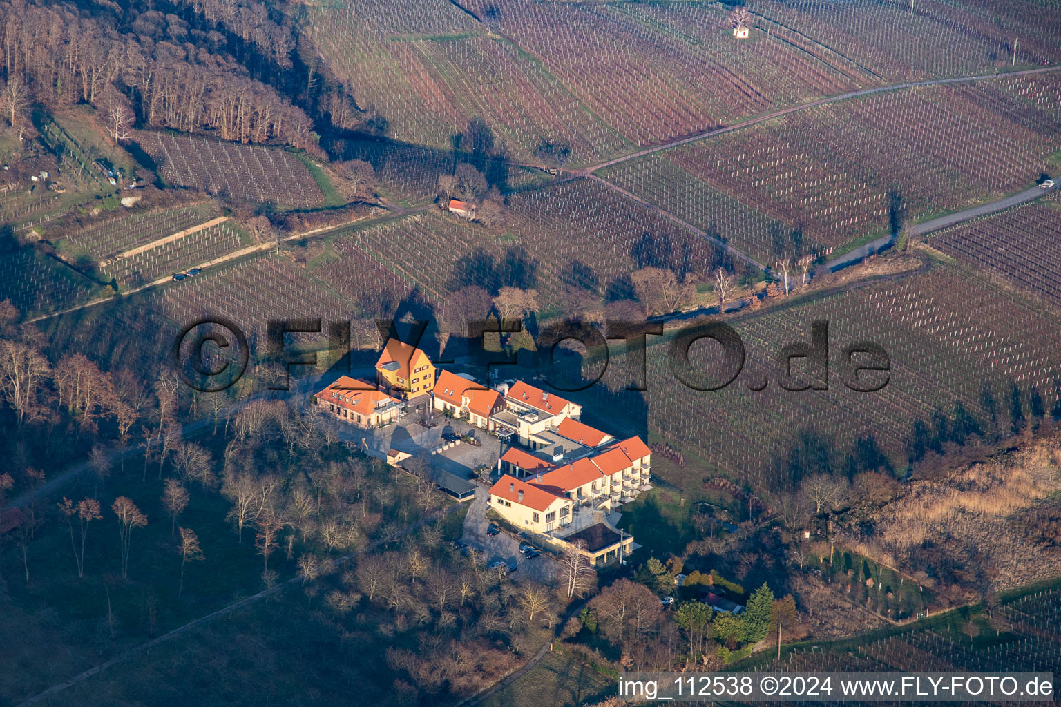 Vue aérienne de Hôtel Alte Rebschule à le quartier Rhodt in Rhodt unter Rietburg dans le département Rhénanie-Palatinat, Allemagne