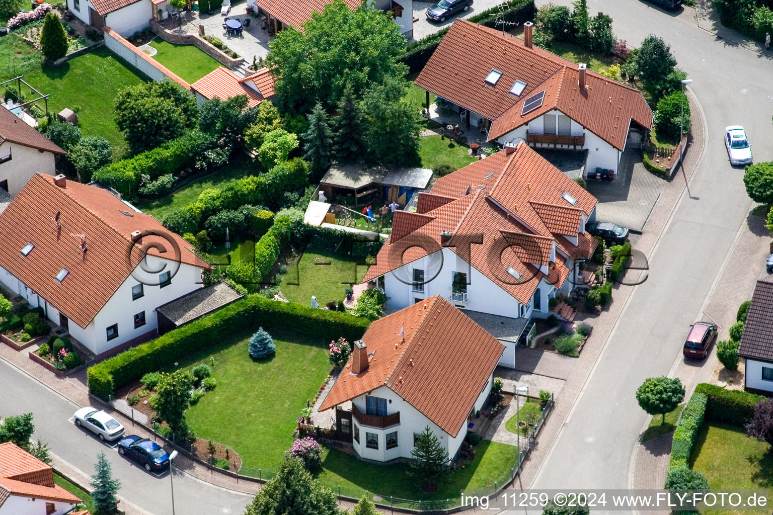 Steinweiler dans le département Rhénanie-Palatinat, Allemagne du point de vue du drone