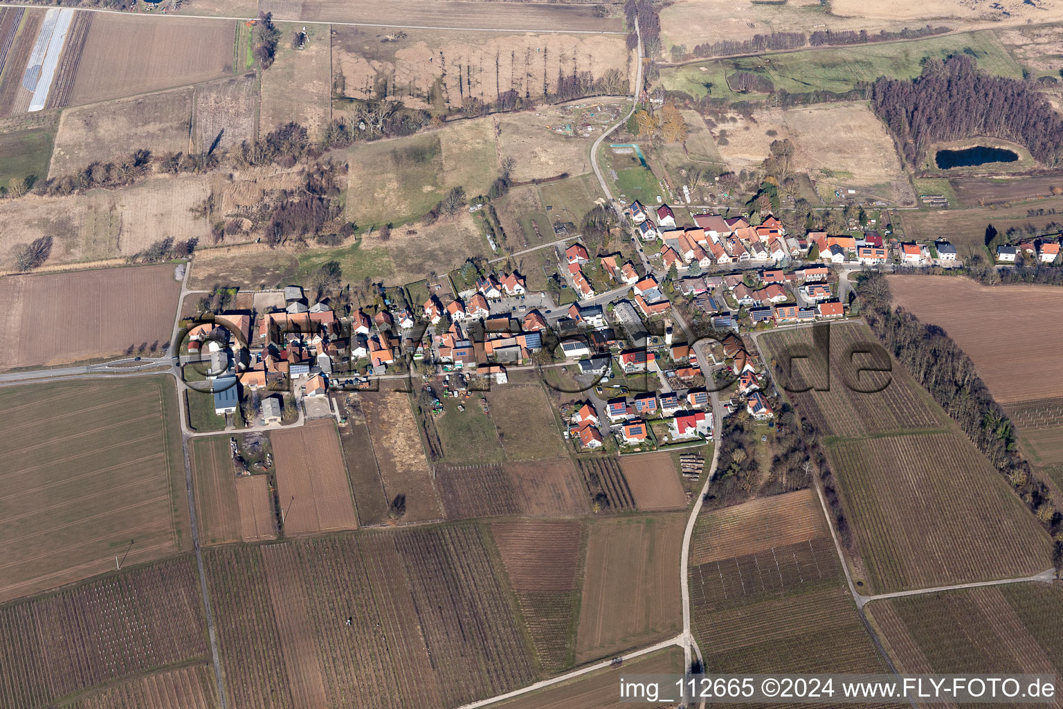 Vue aérienne de Hergersweiler dans le département Rhénanie-Palatinat, Allemagne