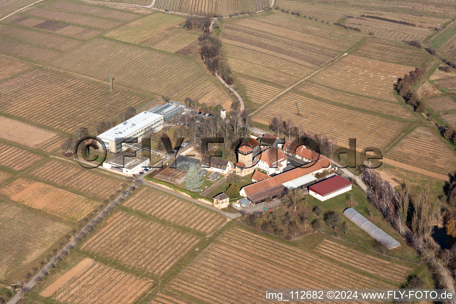 Vue aérienne de Ensemble immobilier de l'Institut Julius Kühn Rebforschungsanstalt Geilweilerhof à Siebeldingen dans le département Rhénanie-Palatinat, Allemagne