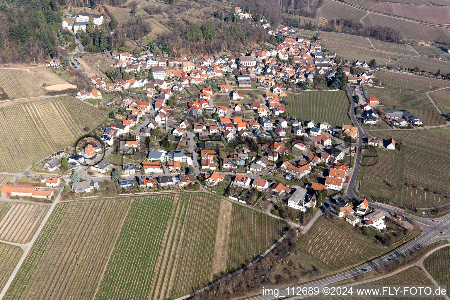 Gleisweiler dans le département Rhénanie-Palatinat, Allemagne vu d'un drone