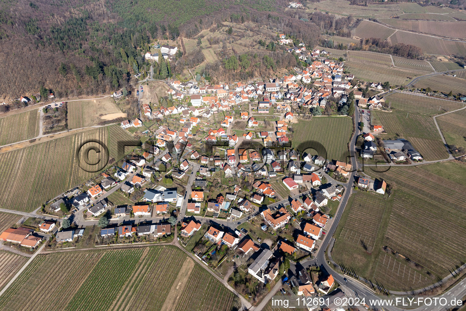 Vue aérienne de Gleisweiler dans le département Rhénanie-Palatinat, Allemagne