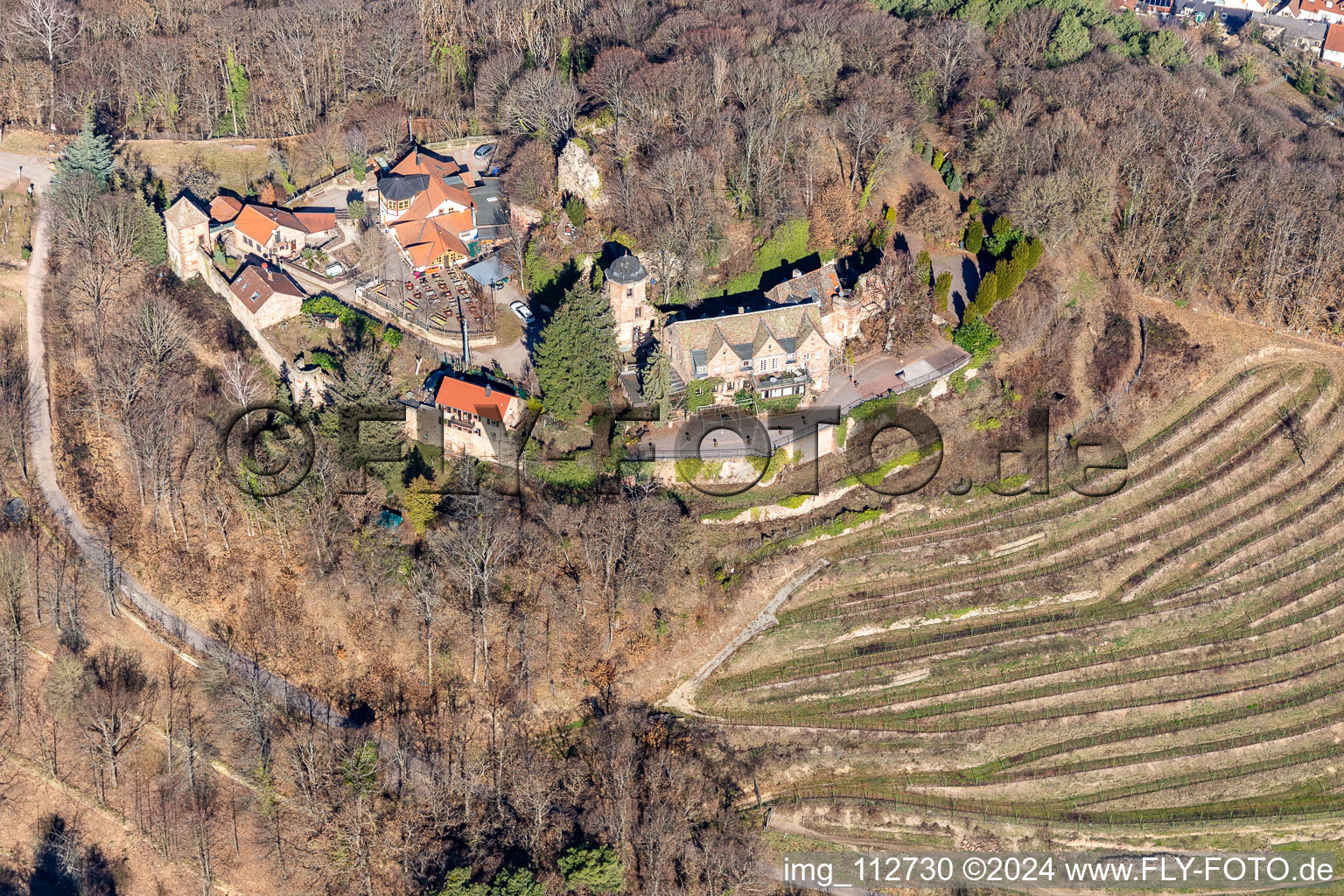 Vue aérienne de Restaurant Château de Kropsbourg à le quartier SaintMartin in Sankt Martin dans le département Rhénanie-Palatinat, Allemagne