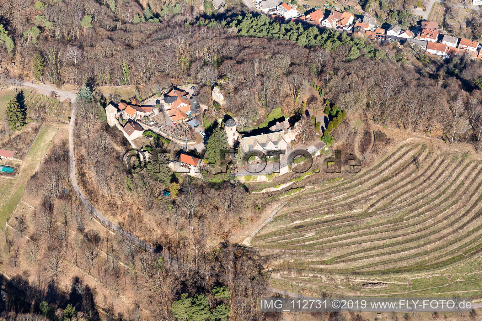 Vue aérienne de Château de Kropsbourg à Sankt Martin dans le département Rhénanie-Palatinat, Allemagne
