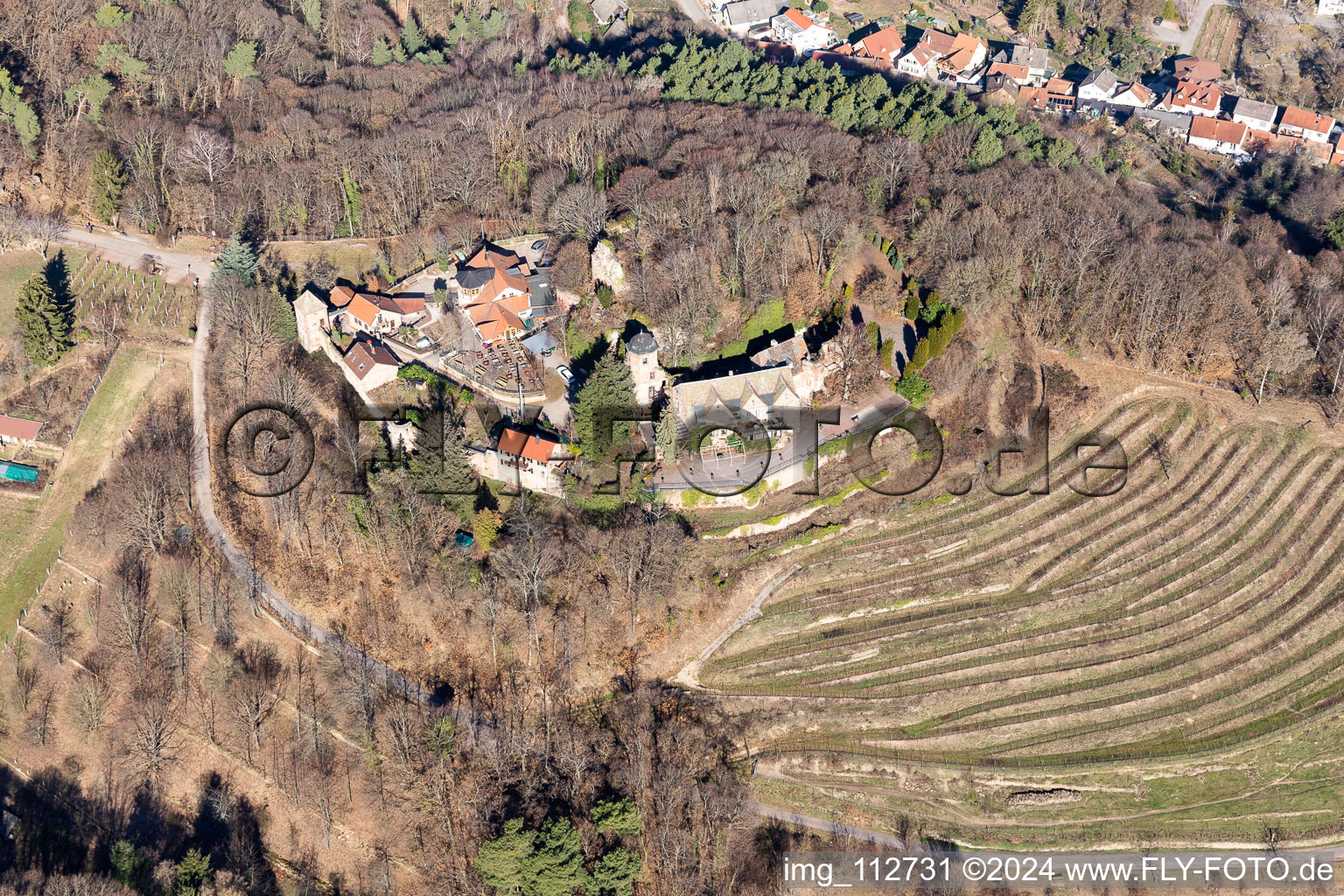 Vue aérienne de Château de Kropsbourg à Sankt Martin dans le département Rhénanie-Palatinat, Allemagne