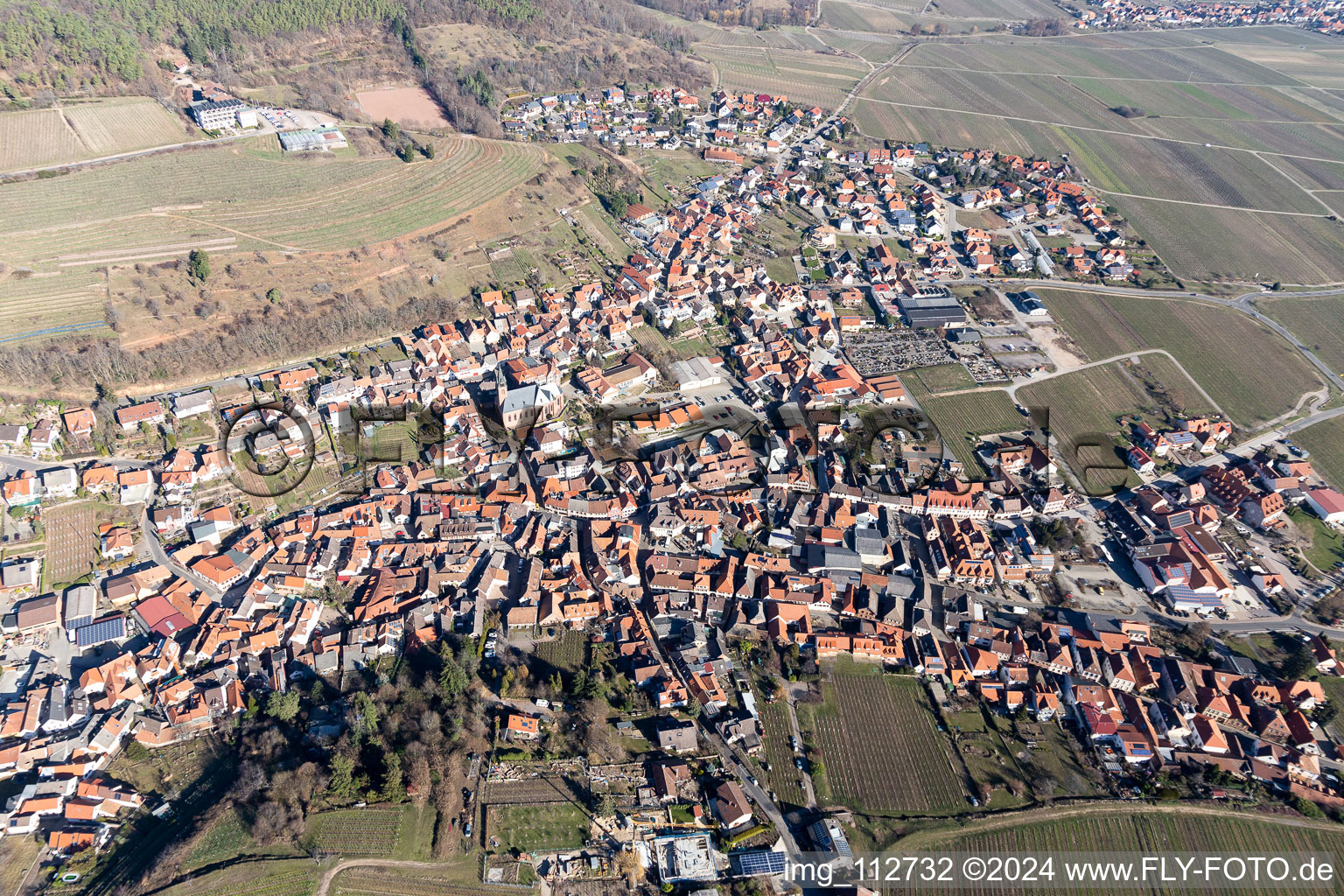 Vue oblique de Sankt Martin dans le département Rhénanie-Palatinat, Allemagne