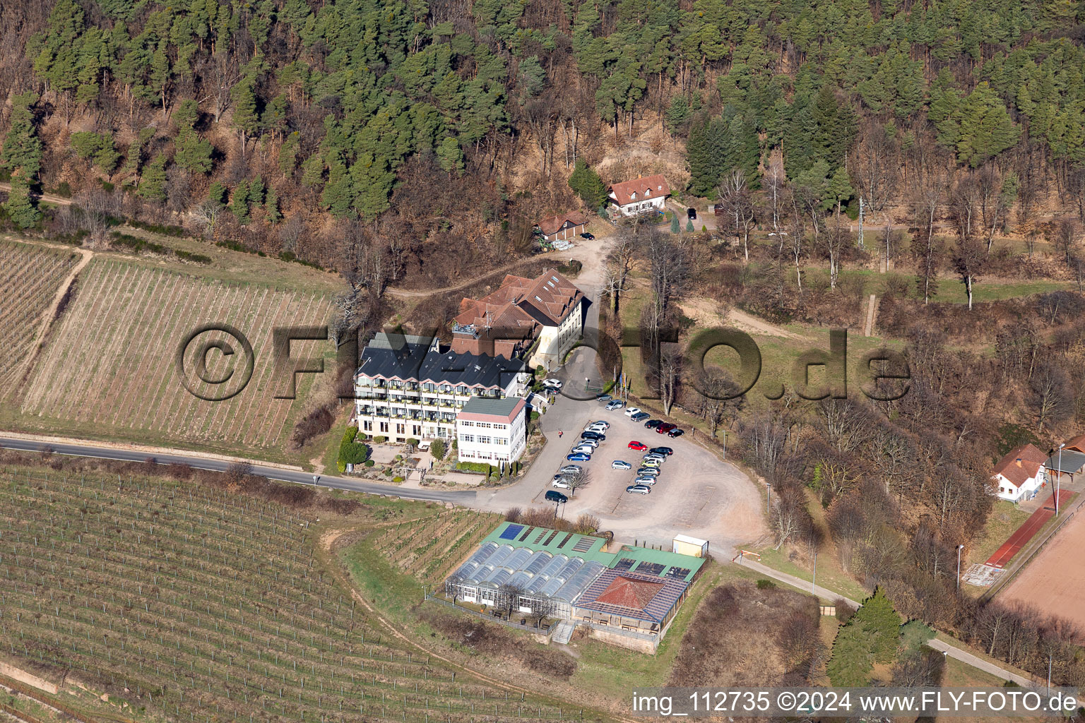 Vue aérienne de Maison sur le vignoble à Sankt Martin dans le département Rhénanie-Palatinat, Allemagne