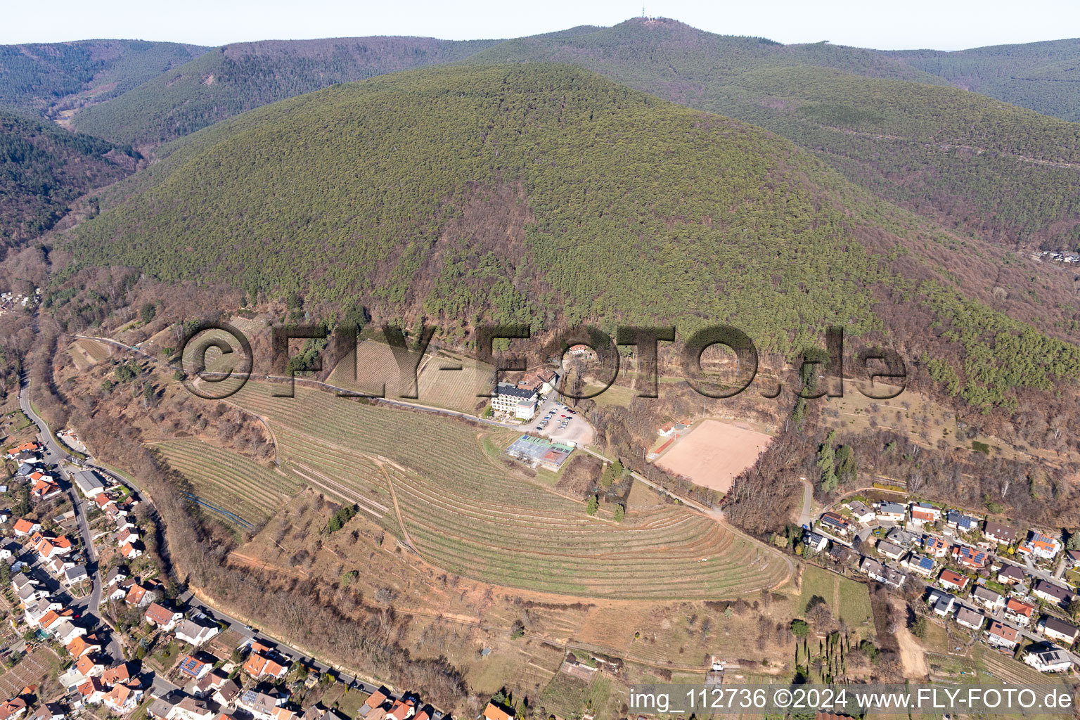 Vue aérienne de Maison sur le vignoble à Sankt Martin dans le département Rhénanie-Palatinat, Allemagne