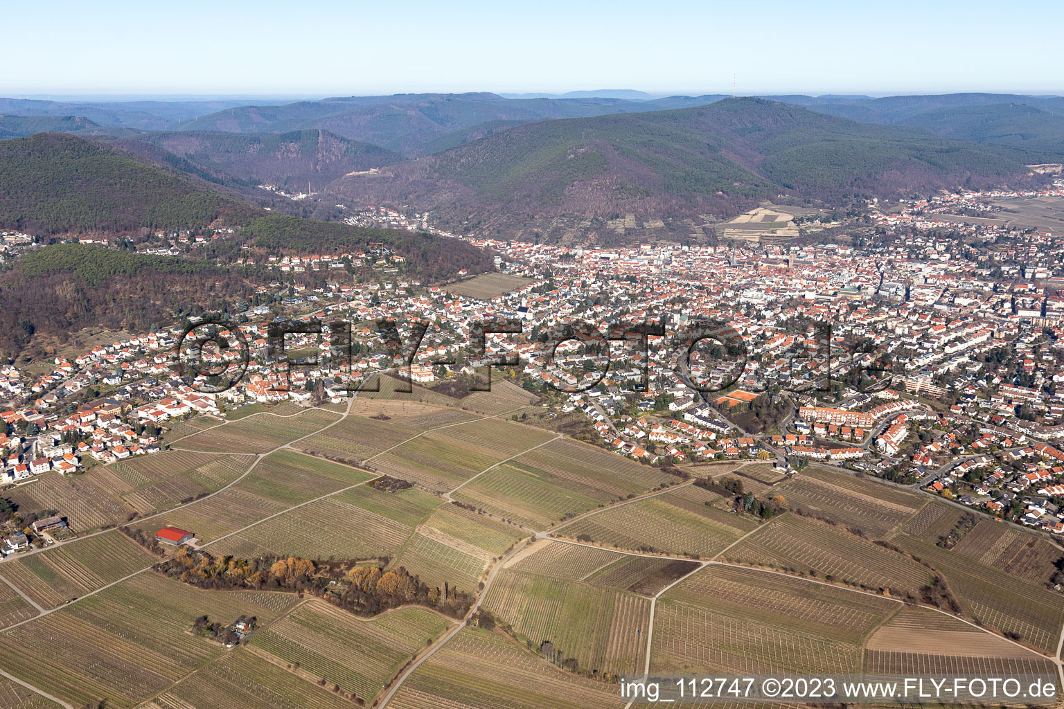 Photographie aérienne de Neustadt an der Weinstraße dans le département Rhénanie-Palatinat, Allemagne