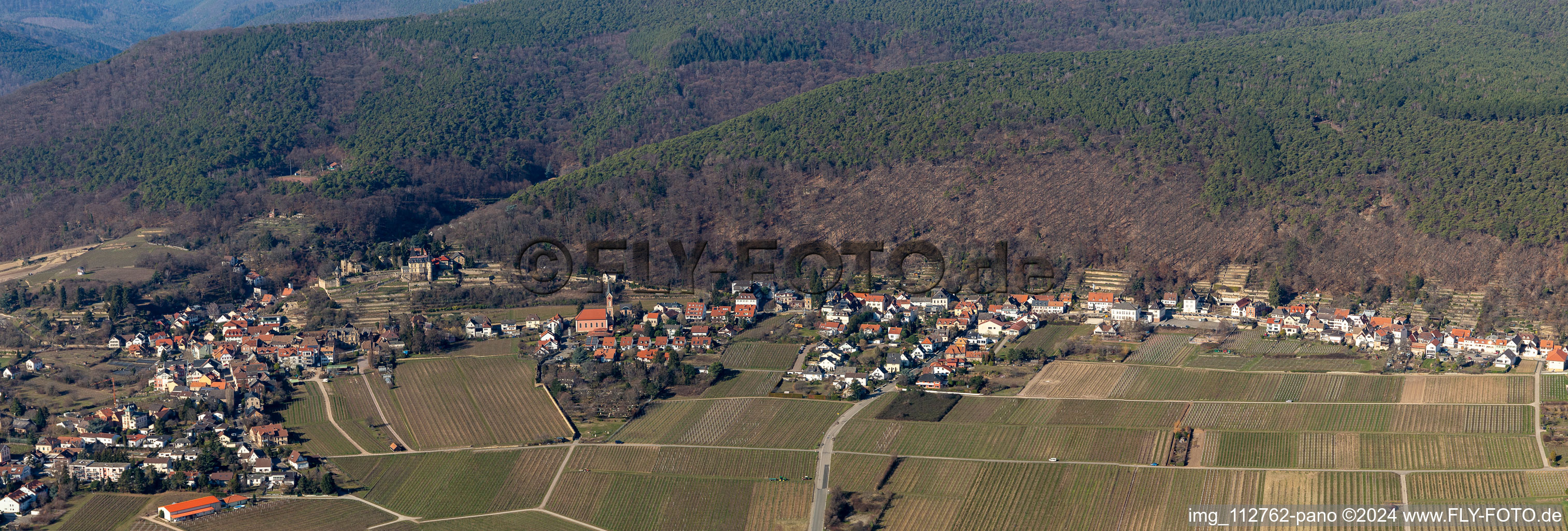 Vue aérienne de Paysage viticole des terroirs viticoles à le quartier Haardt in Neustadt an der Weinstraße dans le département Rhénanie-Palatinat, Allemagne