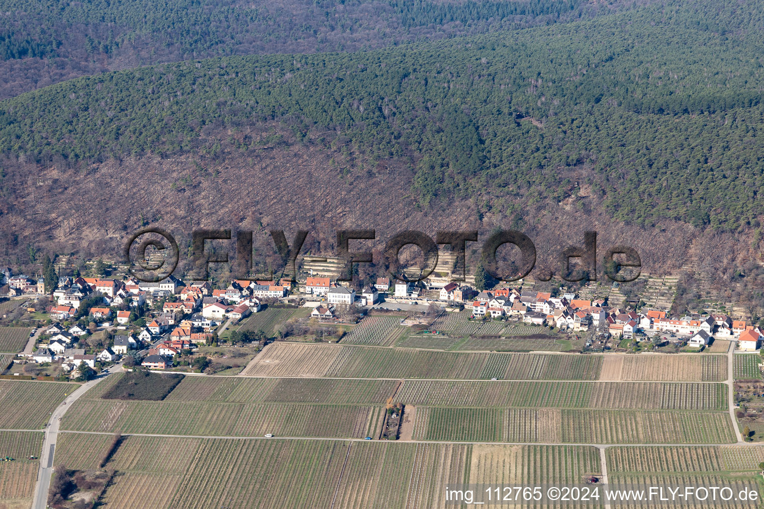 Photographie aérienne de Quartier Haardt in Neustadt an der Weinstraße dans le département Rhénanie-Palatinat, Allemagne