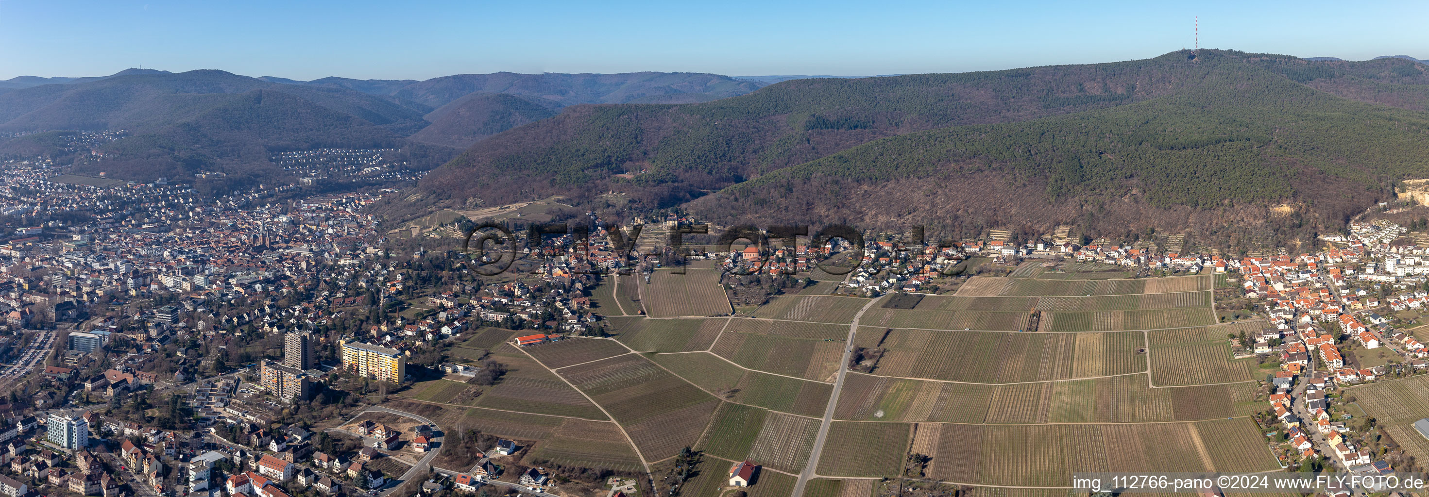 Vue aérienne de Perspective panoramique du paysage viticole à le quartier Haardt in Neustadt an der Weinstraße dans le département Rhénanie-Palatinat, Allemagne