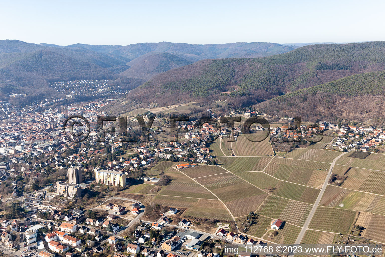 Neustadt an der Weinstraße dans le département Rhénanie-Palatinat, Allemagne hors des airs