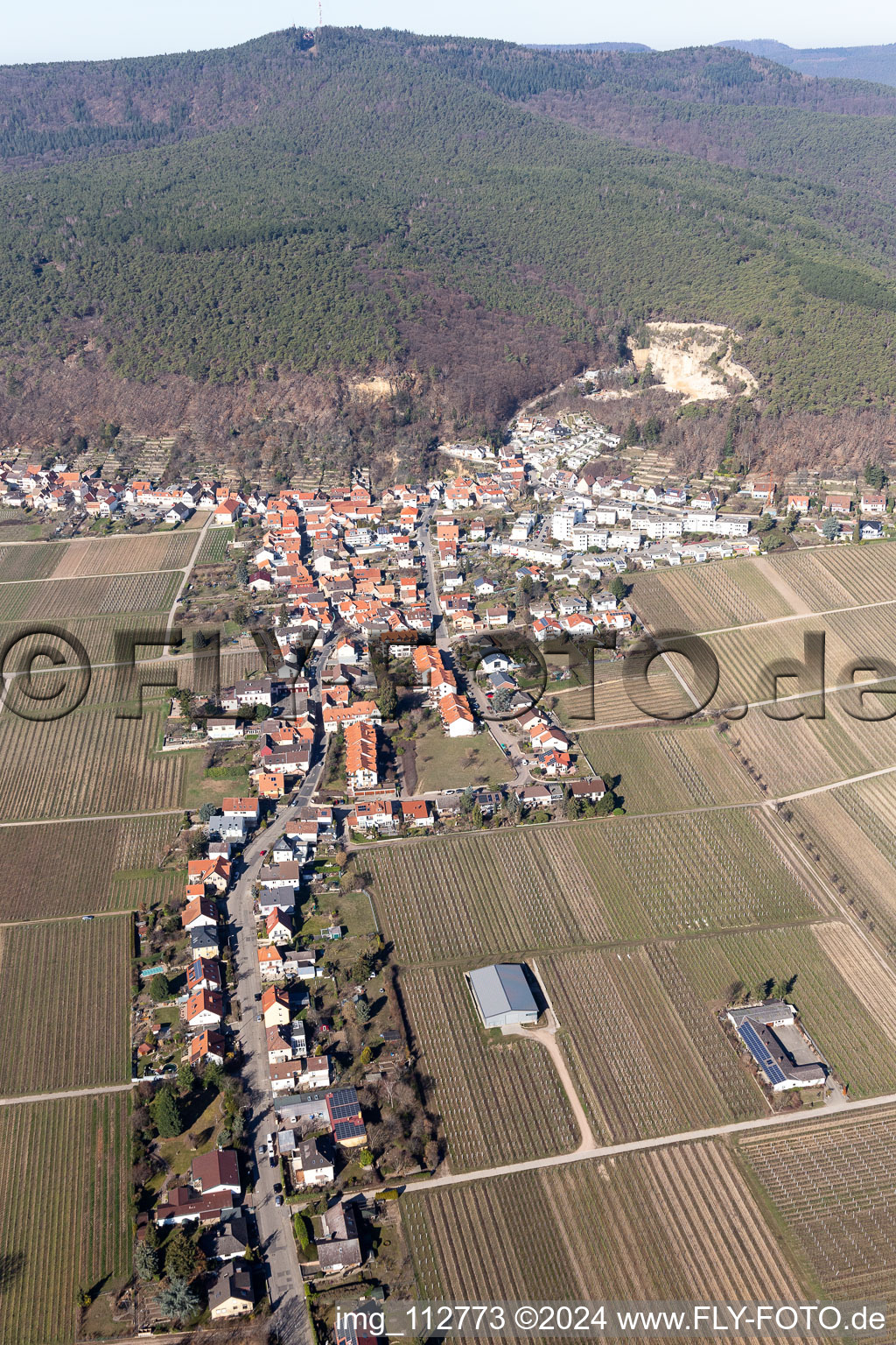 Vue aérienne de Des vignobles entourent la zone d'habitation du village à le quartier Haardt in Neustadt an der Weinstraße dans le département Rhénanie-Palatinat, Allemagne