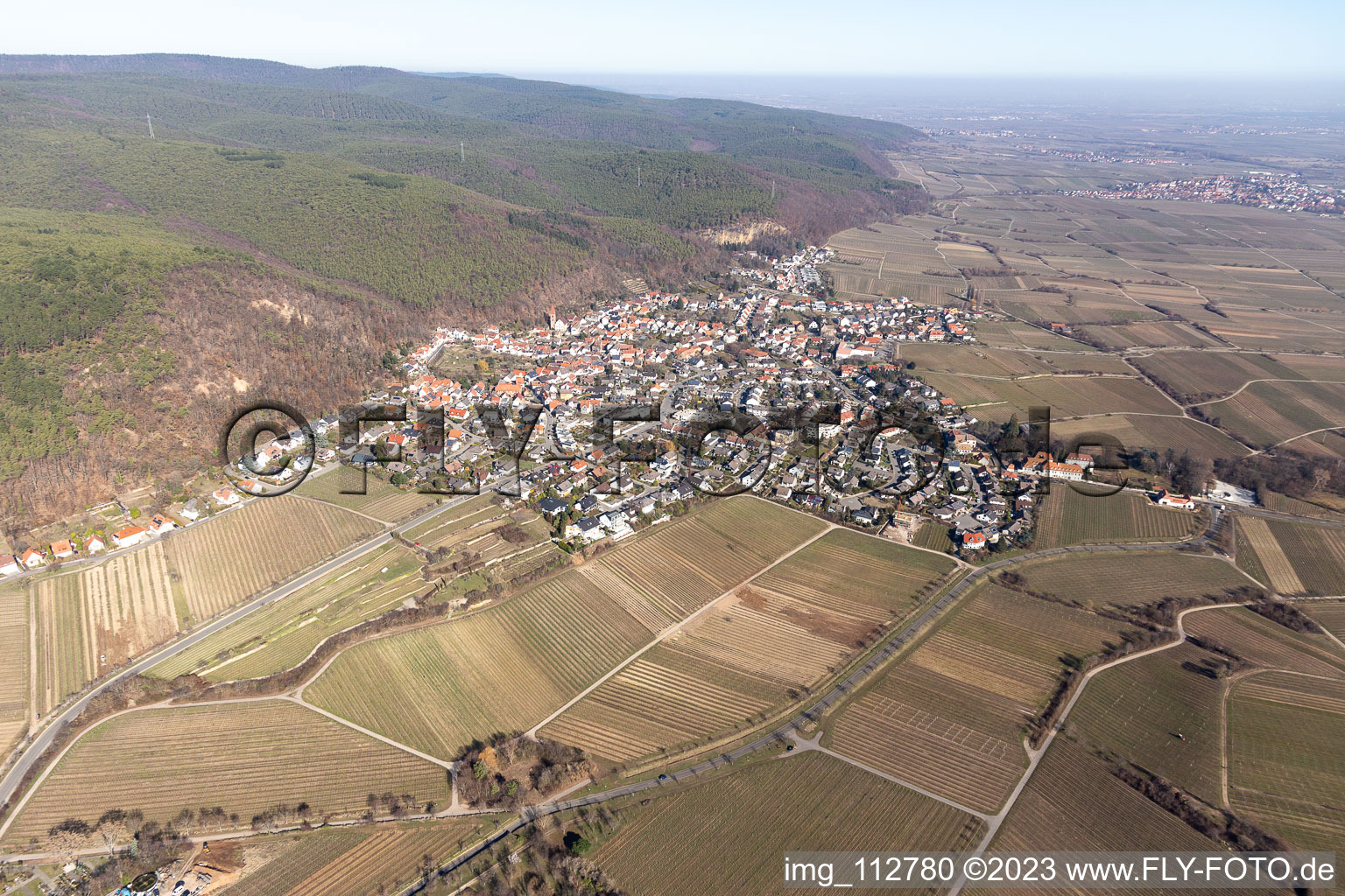 Vue aérienne de Quartier Königsbach in Neustadt an der Weinstraße dans le département Rhénanie-Palatinat, Allemagne