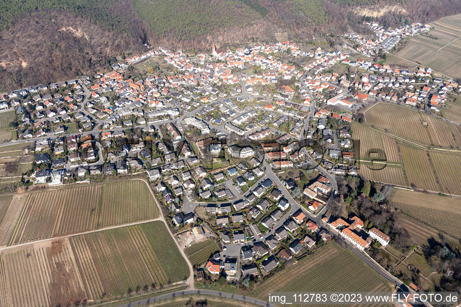 Vue aérienne de Quartier Königsbach in Neustadt an der Weinstraße dans le département Rhénanie-Palatinat, Allemagne