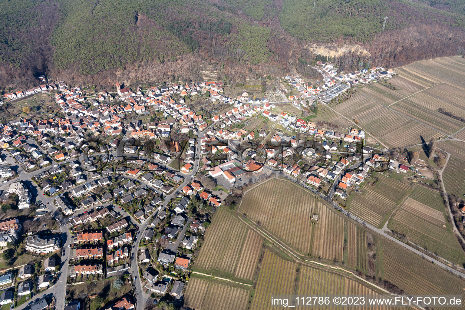 Photographie aérienne de Quartier Königsbach in Neustadt an der Weinstraße dans le département Rhénanie-Palatinat, Allemagne