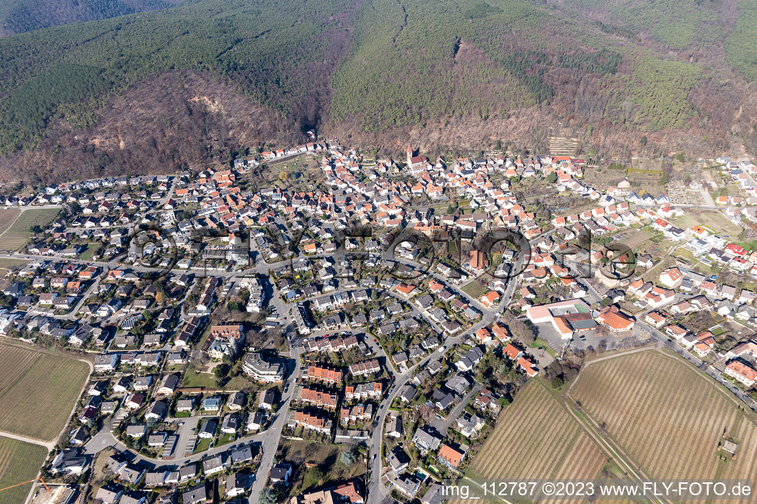 Vue oblique de Quartier Königsbach in Neustadt an der Weinstraße dans le département Rhénanie-Palatinat, Allemagne