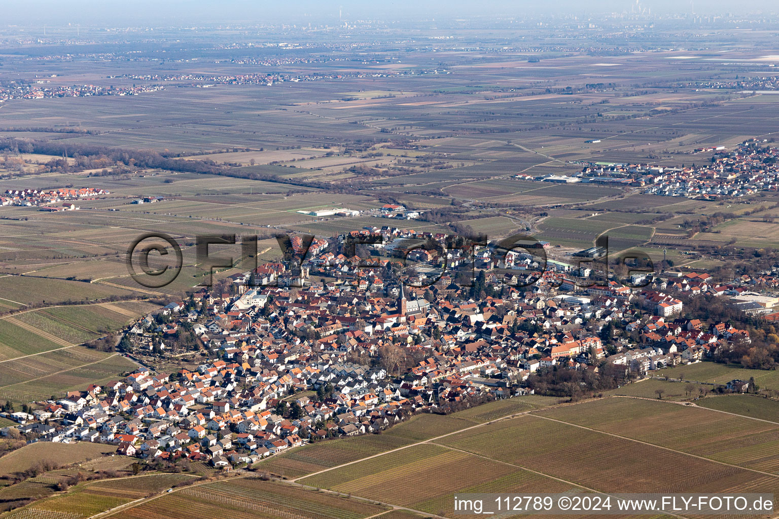 Vue aérienne de Région et environs à Deidesheim dans le département Rhénanie-Palatinat, Allemagne